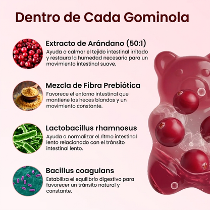 Gomitas de arándano | Fórmula de defensa urinaria y renal